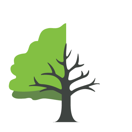 the logo of CharityCoders that shows a tree which is divided in a left green and brown coloured side and the right side only in black